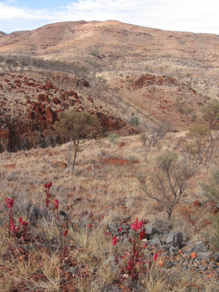 Pilbara WA